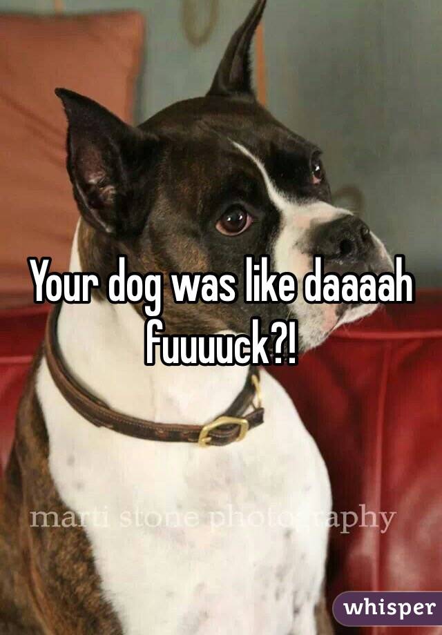 Your dog was like daaaah fuuuuck?!