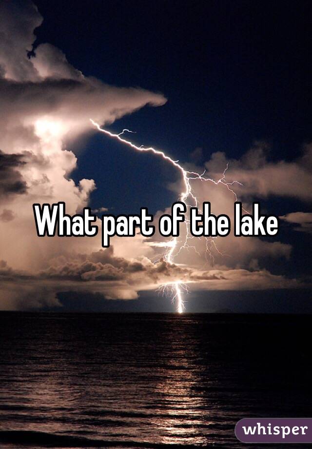 What part of the lake