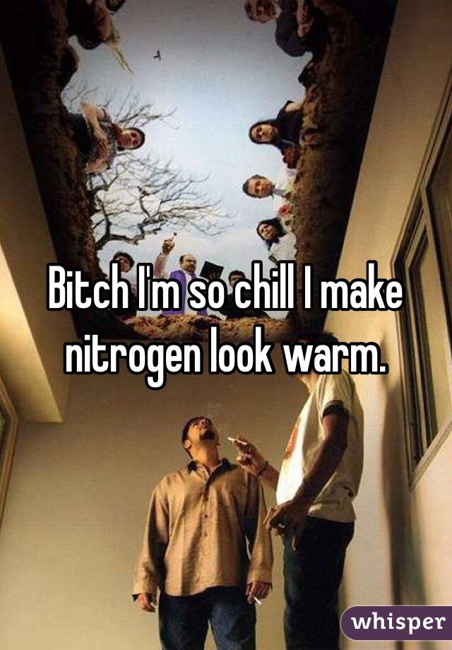 Bitch I'm so chill I make nitrogen look warm. 