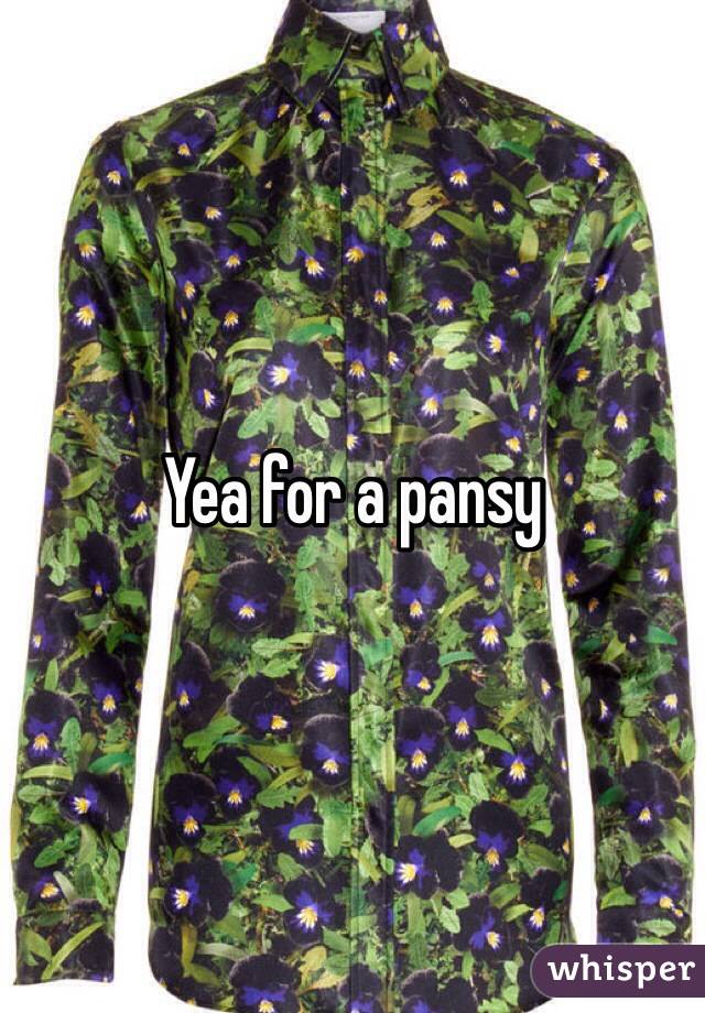 Yea for a pansy 