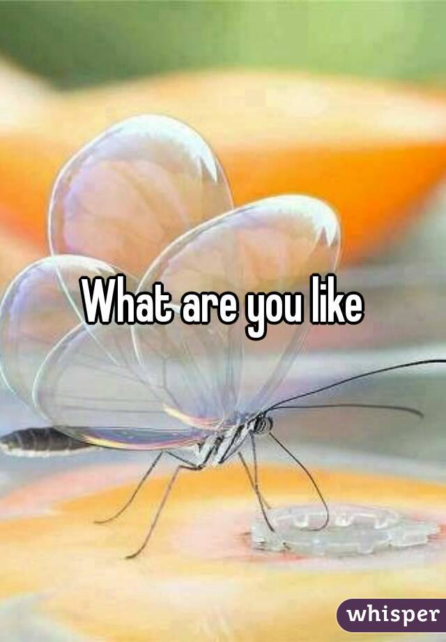 What are you like