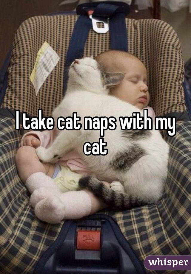 I take cat naps with my cat 