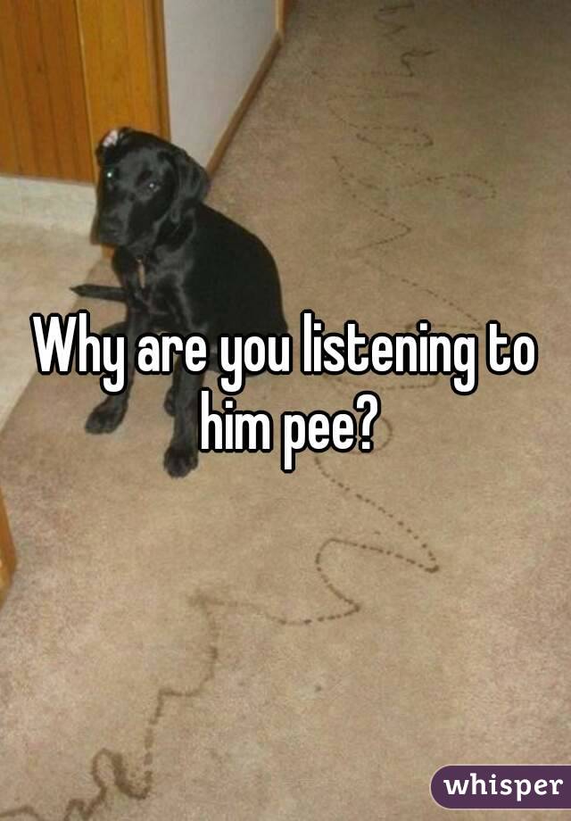 Why are you listening to him pee?