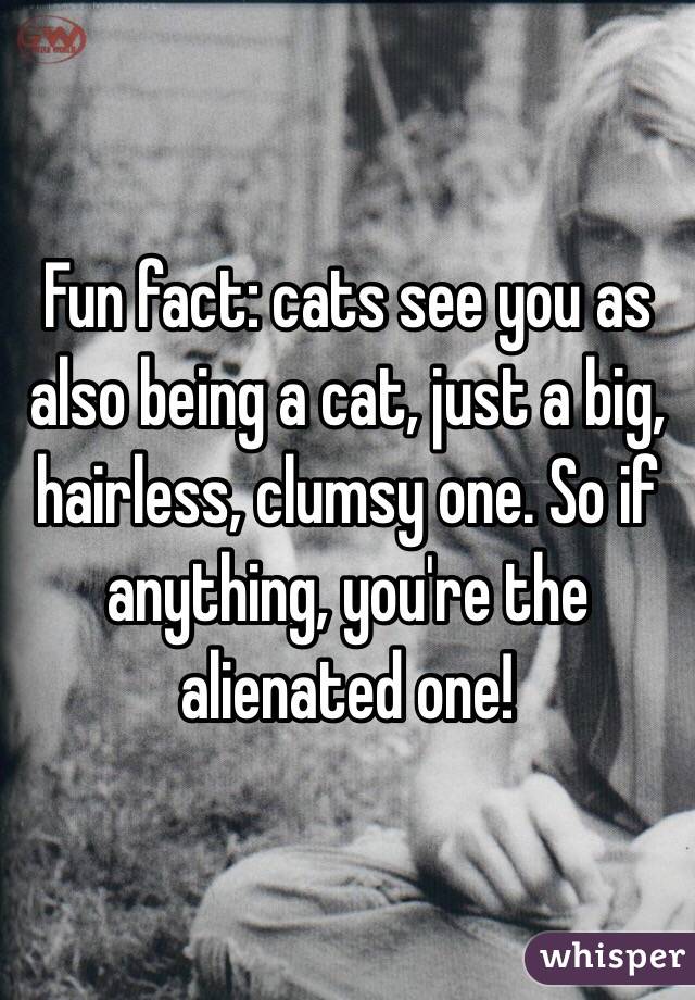 Fun fact: cats see you as also being a cat, just a big, hairless, clumsy one. So if anything, you're the alienated one!