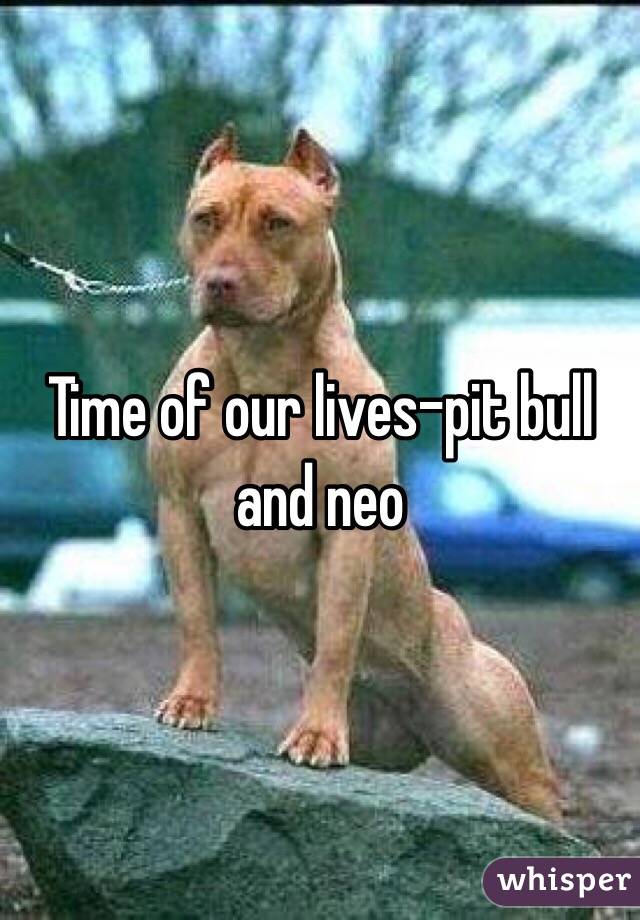 Time of our lives-pit bull and neo 
