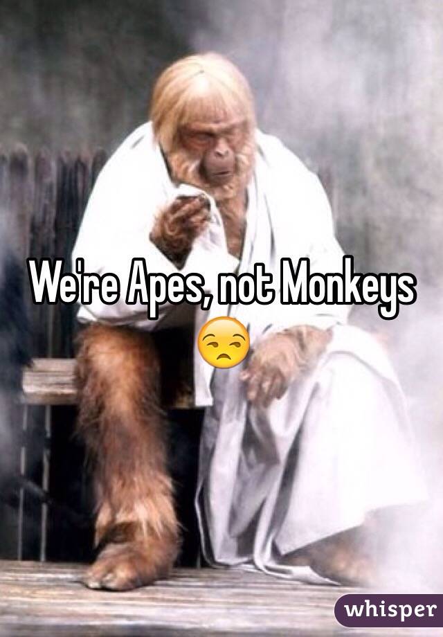 We're Apes, not Monkeys 😒