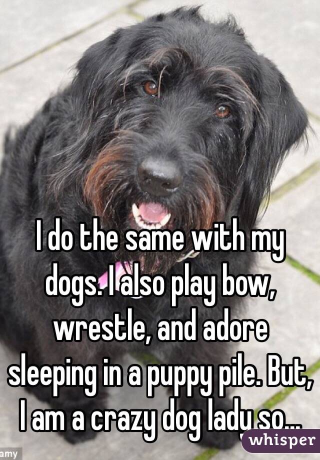 I do the same with my dogs. I also play bow, wrestle, and adore sleeping in a puppy pile. But, I am a crazy dog lady so...