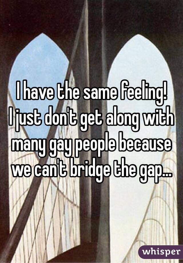 I have the same feeling!
I just don't get along with many gay people because we can't bridge the gap...