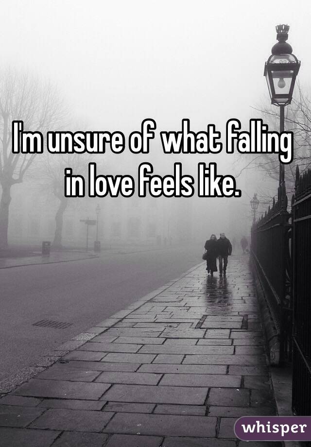 I'm unsure of what falling in love feels like. 