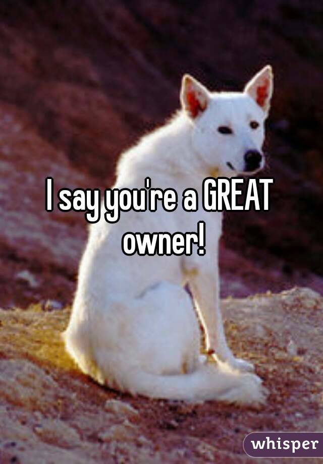 I say you're a GREAT owner!
