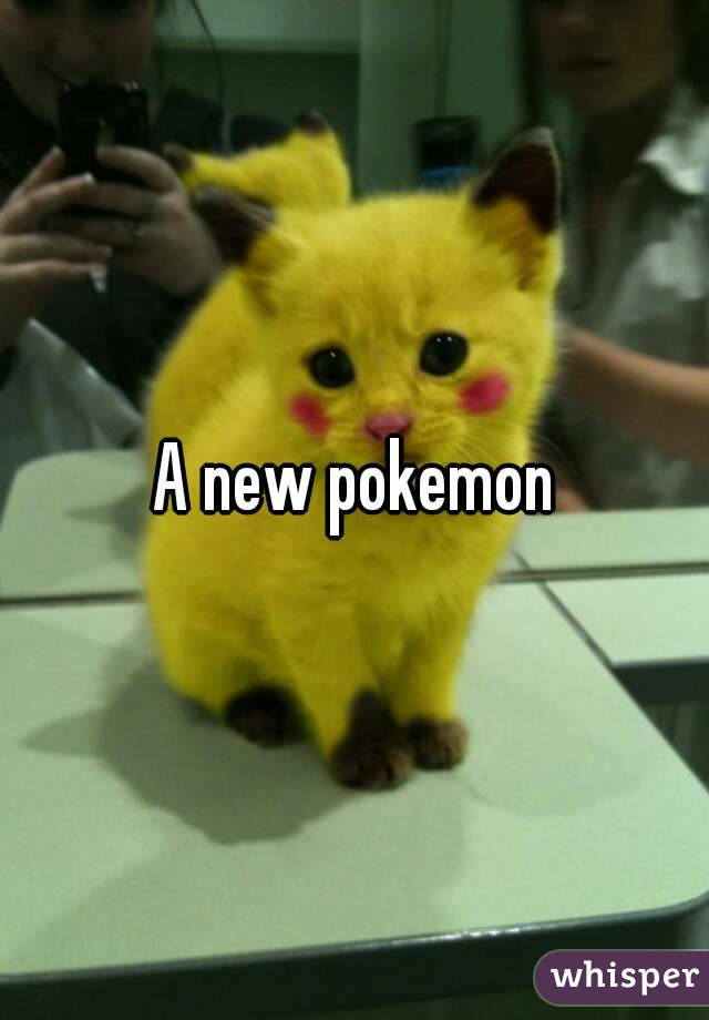 A new pokemon