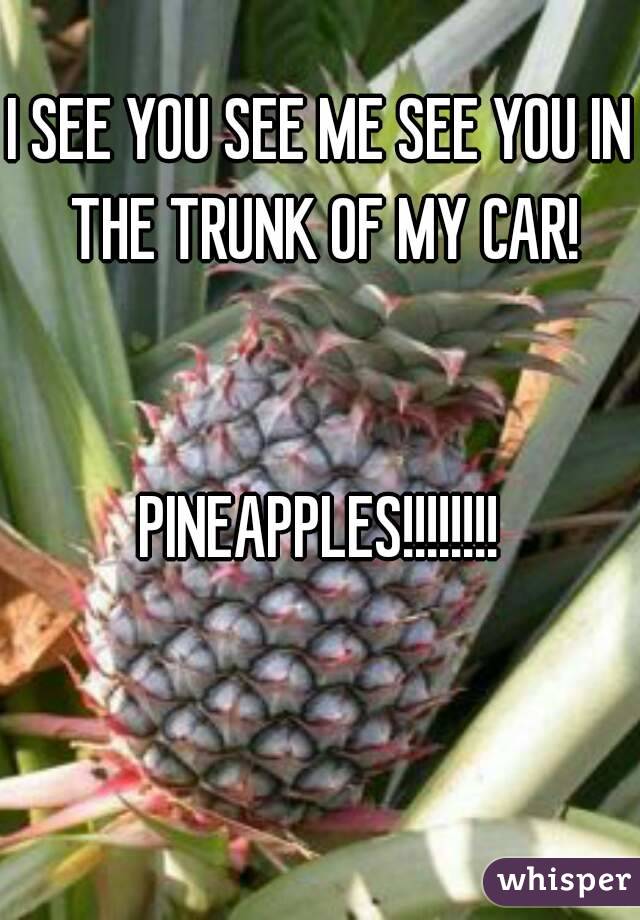 I SEE YOU SEE ME SEE YOU IN THE TRUNK OF MY CAR!


PINEAPPLES!!!!!!!!