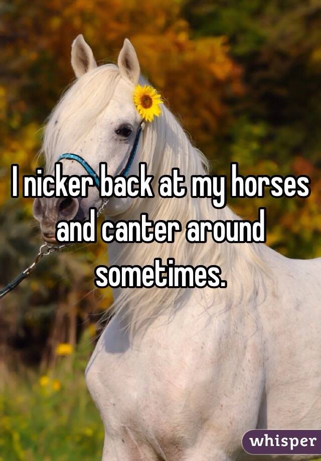 I nicker back at my horses and canter around sometimes.