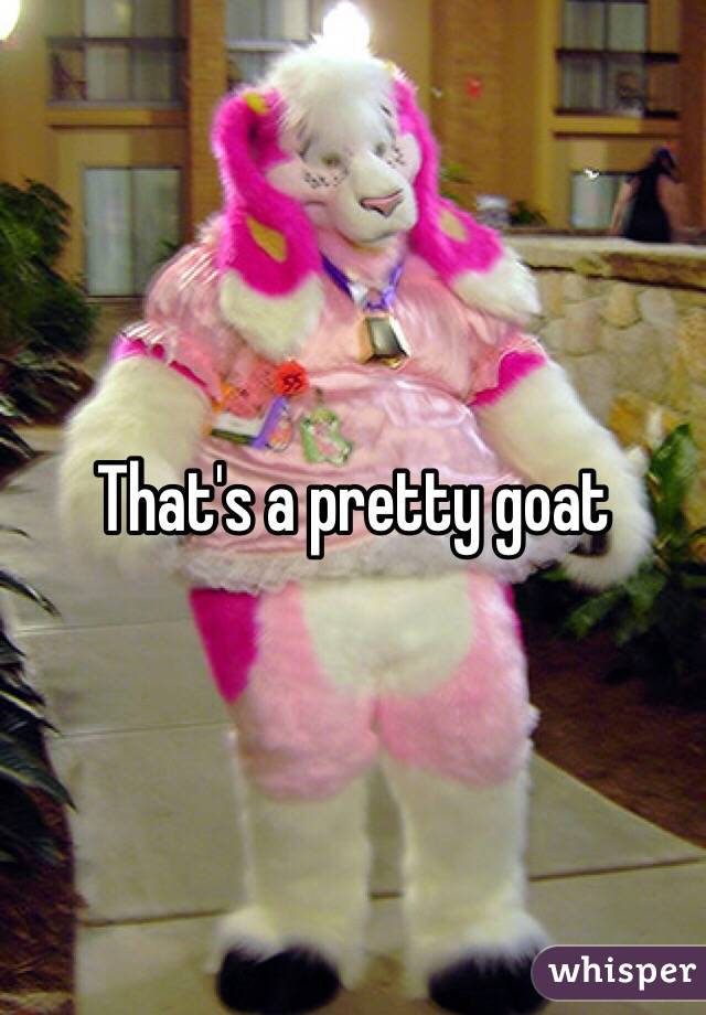 That's a pretty goat 