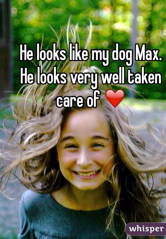 He looks like my dog Max. He looks very well taken care of ❤️ 