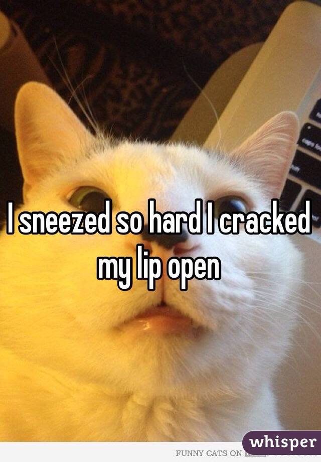 I sneezed so hard I cracked my lip open