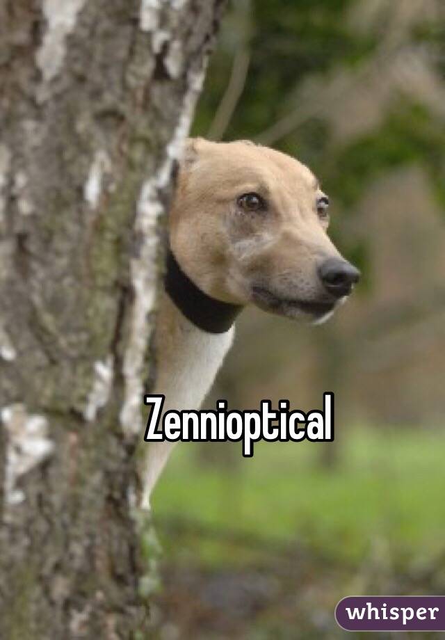 Zennioptical 