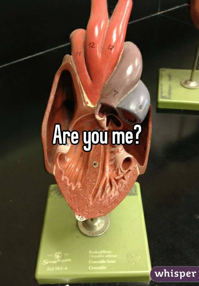 Are you me? 