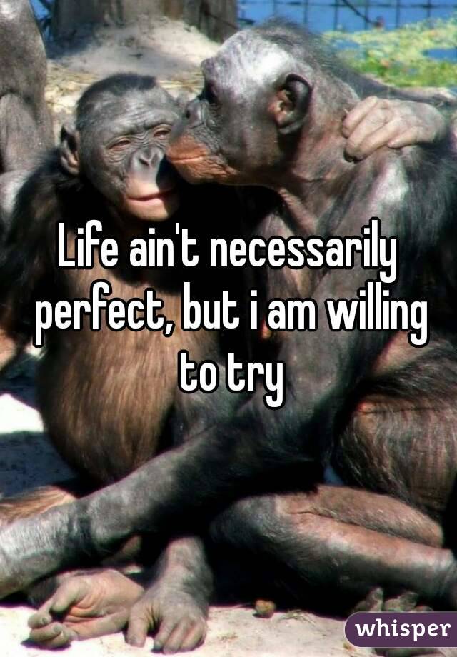 Life ain't necessarily perfect, but i am willing to try