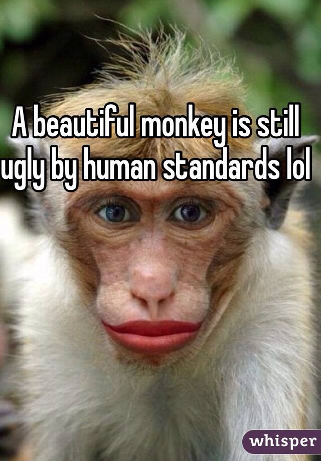 A beautiful monkey is still ugly by human standards lol
