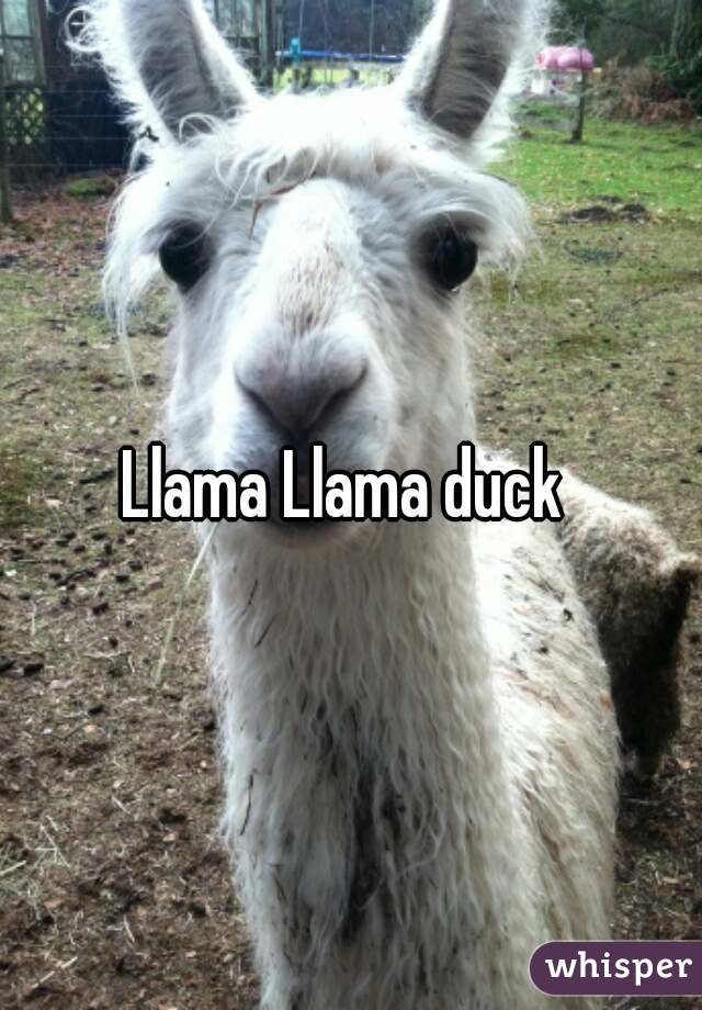 Llama Llama duck 