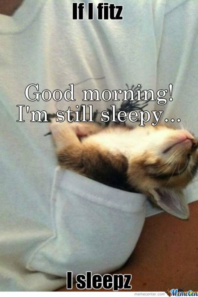 Good morning! I'm still sleepy...