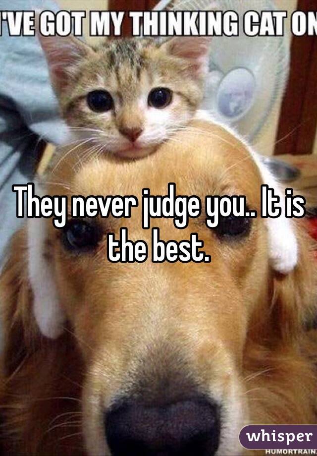 They never judge you.. It is the best. 