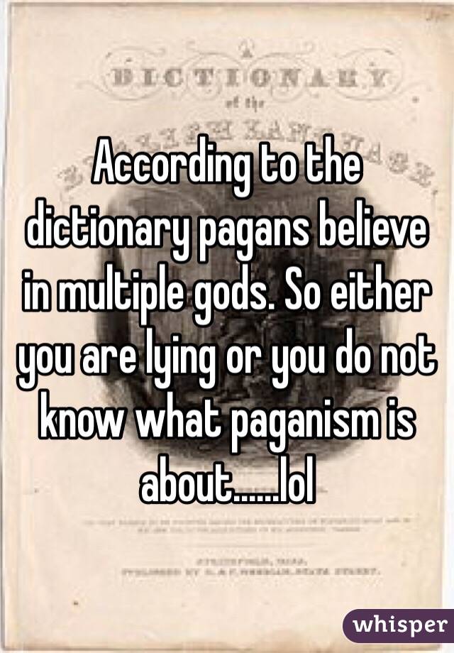 According to the dictionary pagans believe in multiple gods. So either you are lying or you do not know what paganism is about......lol