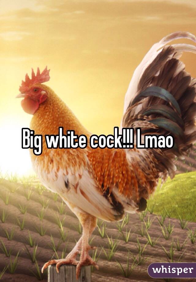Big white cock!!! Lmao