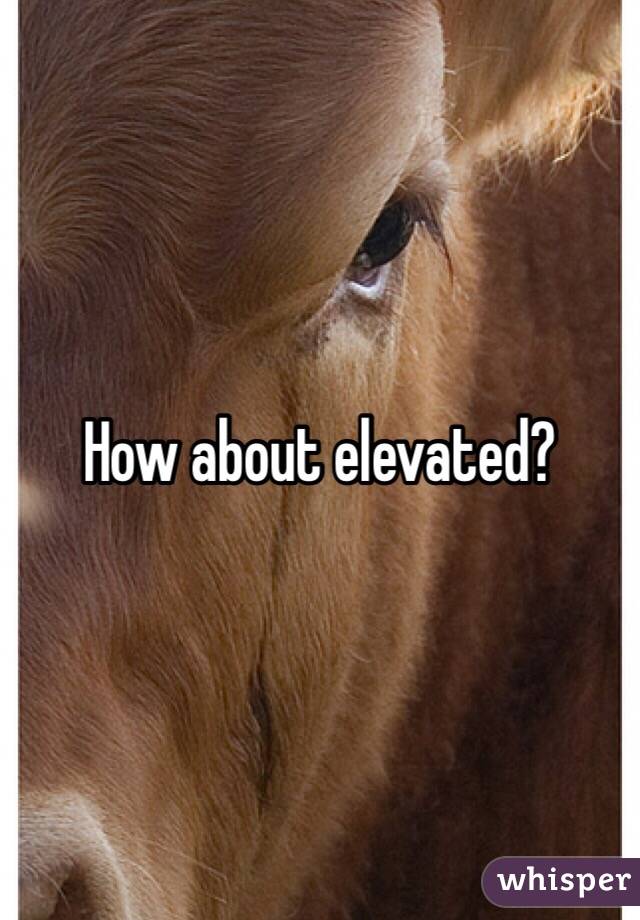 How about elevated?