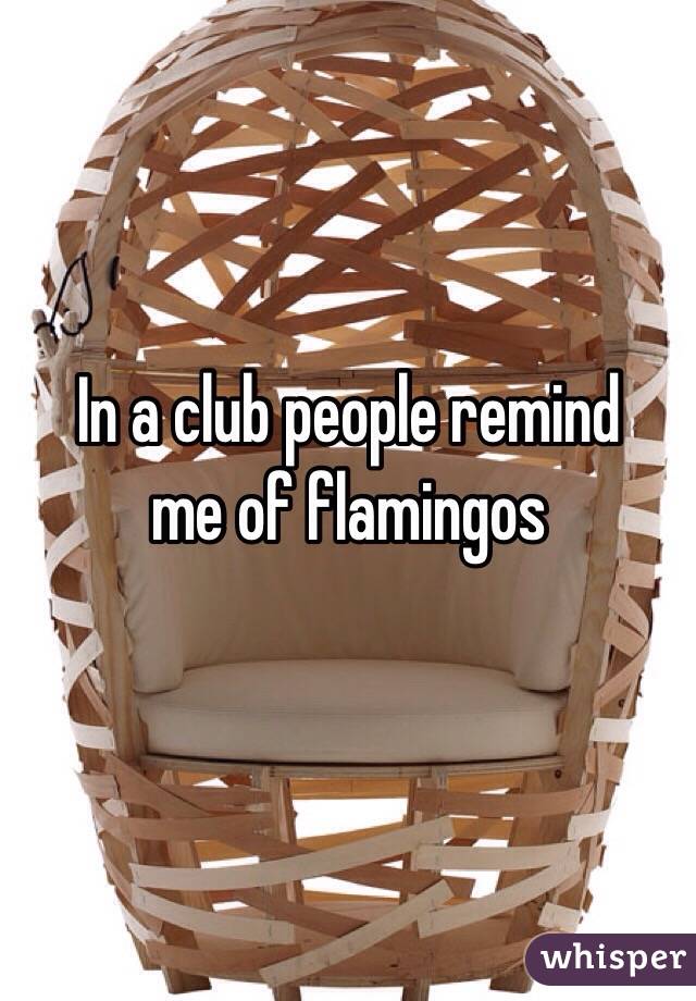 In a club people remind 
me of flamingos
