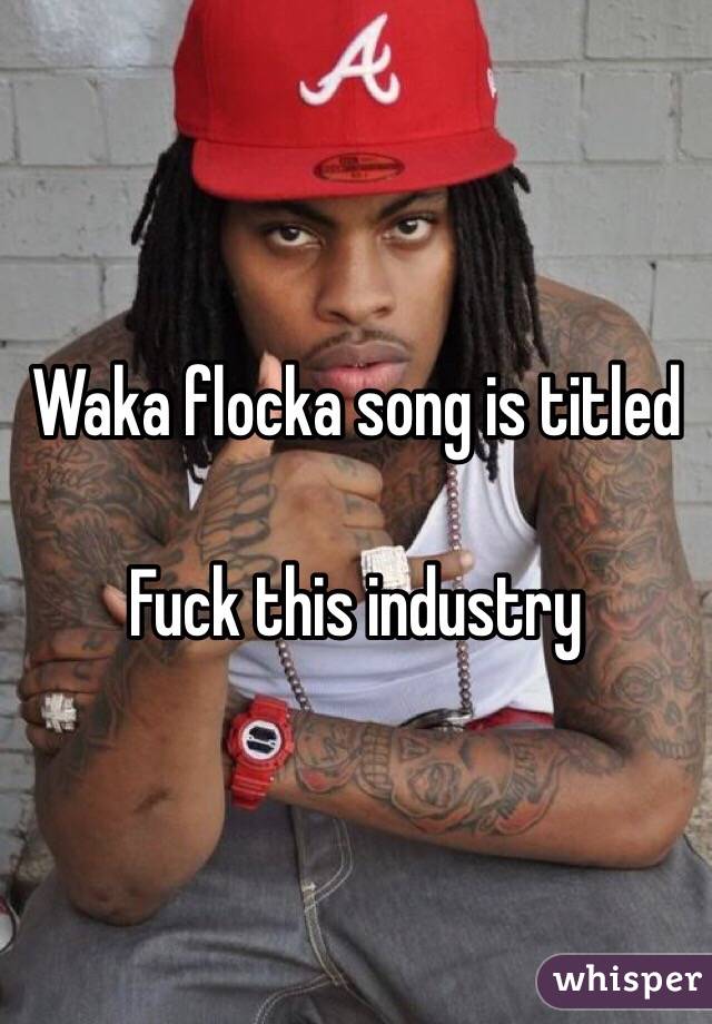 Waka flocka song is titled 

Fuck this industry 