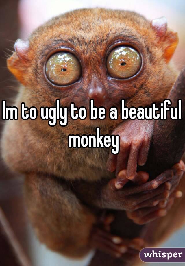 Im to ugly to be a beautiful monkey