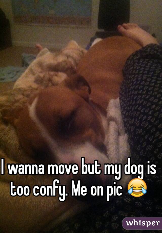 I wanna move but my dog is too confy. Me on pic 😂