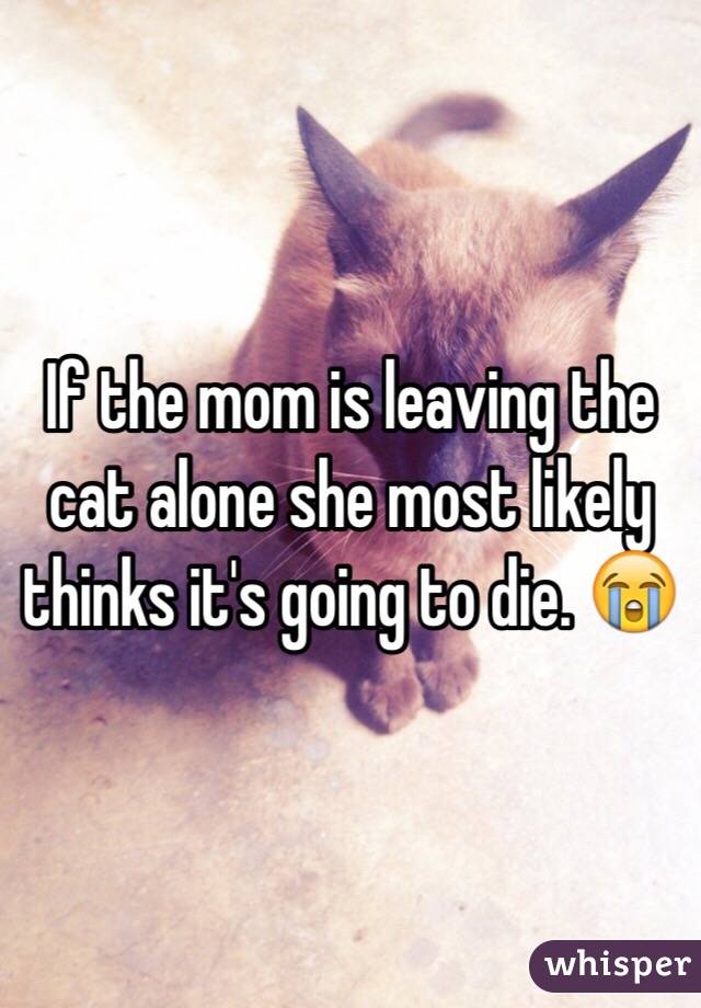 If the mom is leaving the cat alone she most likely thinks it's going to die. 😭