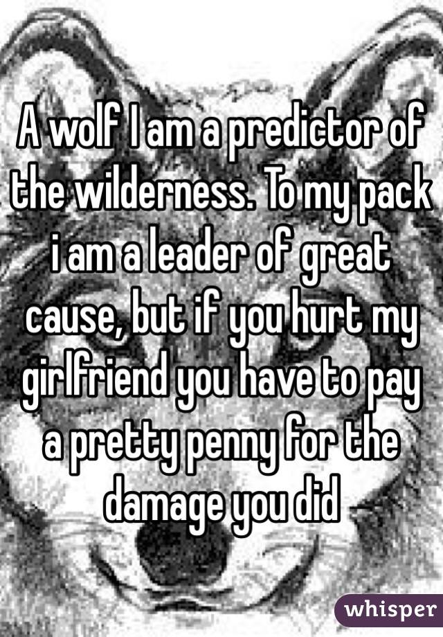 A wolf I am a predictor of the wilderness. To my pack i am a leader of great cause, but if you hurt my girlfriend you have to pay a pretty penny for the damage you did 