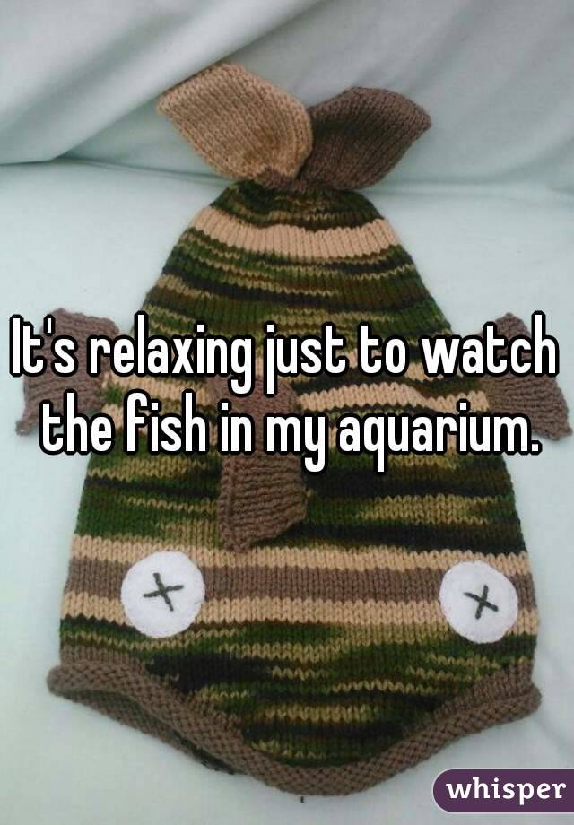 It's relaxing just to watch the fish in my aquarium.