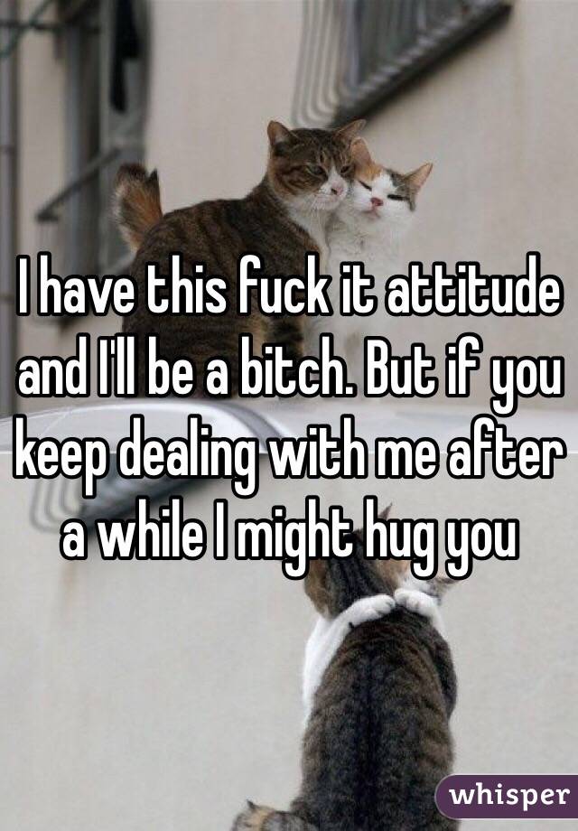 I have this fuck it attitude and I'll be a bitch. But if you keep dealing with me after a while I might hug you 