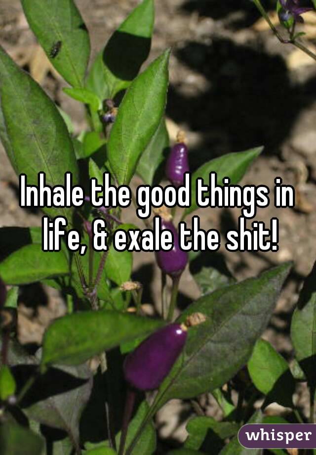 Inhale the good things in life, & exale the shit!