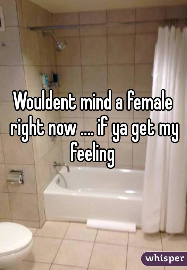 Wouldent mind a female right now .... if ya get my feeling 