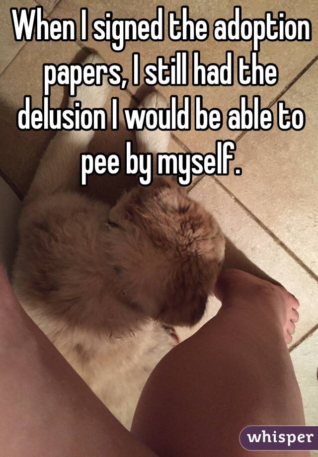 When I signed the adoption papers, I still had the delusion I would be able to pee by myself. 