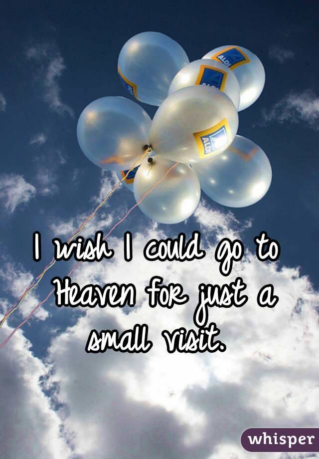 I wish I could go to Heaven for just a small visit. 
