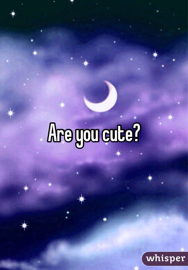 Are you cute? 