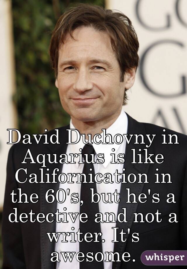 David Duchovny in Aquarius is like Californication in the 60's, but he's a detective and not a writer. It's awesome. 