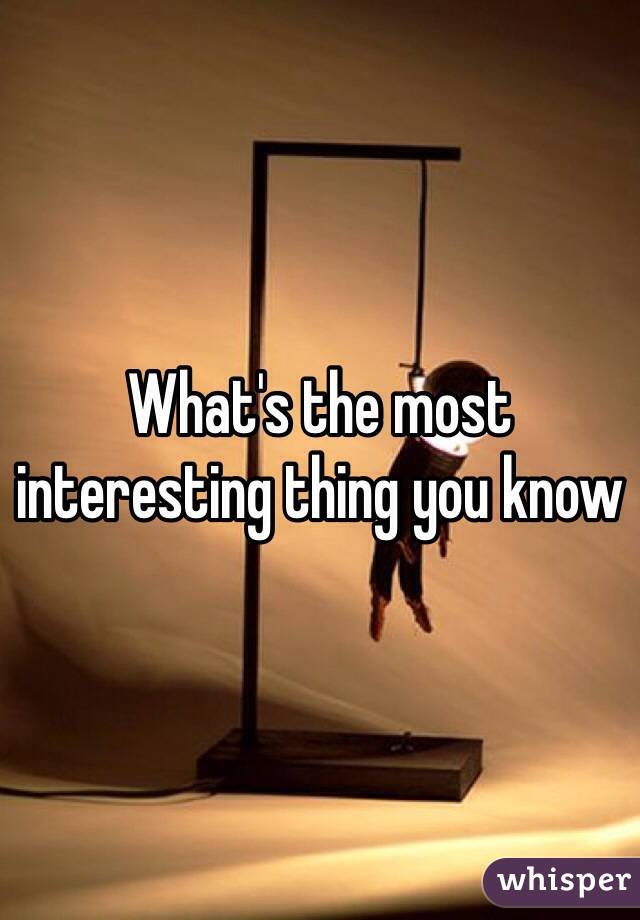 What's the most interesting thing you know