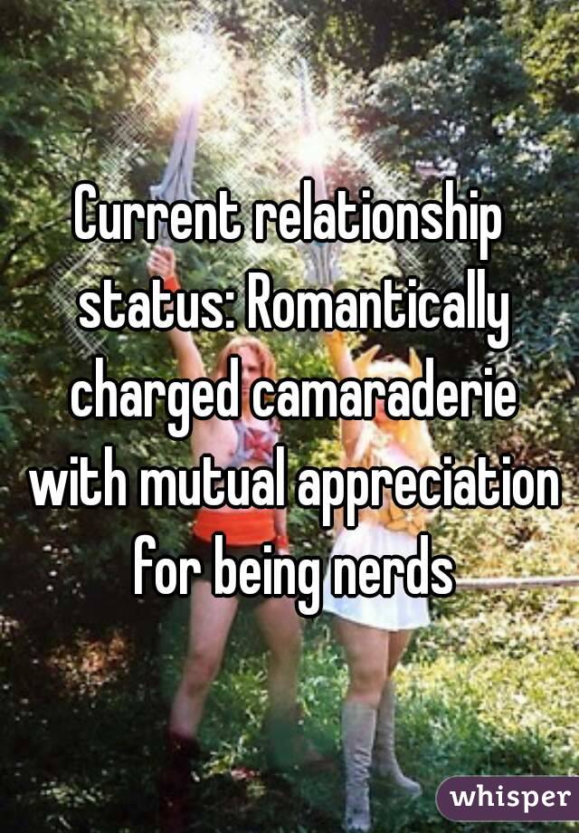 Current relationship status: Romantically charged camaraderie with mutual appreciation for being nerds