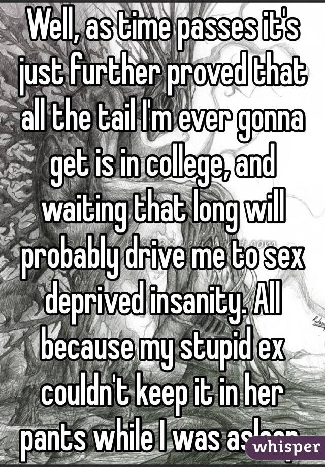 Well, as time passes it's just further proved that all the tail I'm ever gonna get is in college, and waiting that long will probably drive me to sex deprived insanity. All because my stupid ex couldn't keep it in her pants while I was asleep.