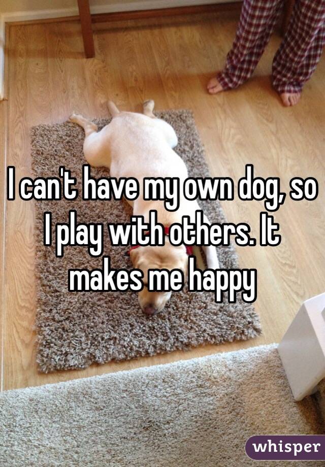 I can't have my own dog, so I play with others. It makes me happy 