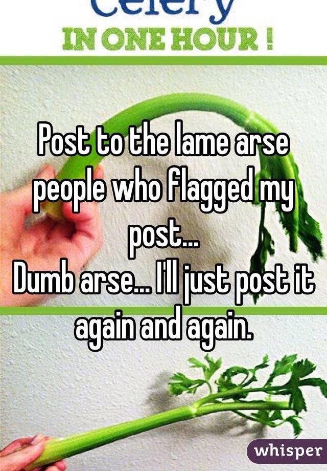 Post to the lame arse people who flagged my post...
Dumb arse... I'll just post it again and again.