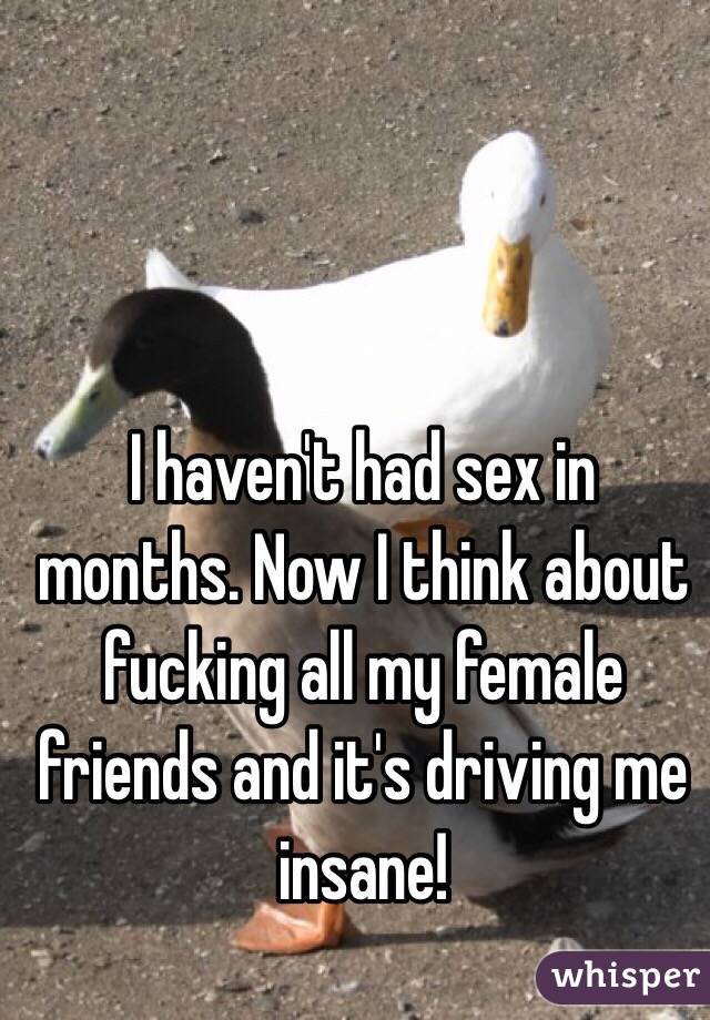 I haven't had sex in months. Now I think about fucking all my female friends and it's driving me insane!